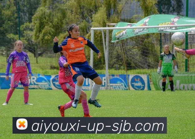 爱游戏升级，爱游戏升级，爱游戏官网，爱游戏平台，爱游戏升级APP发展历程